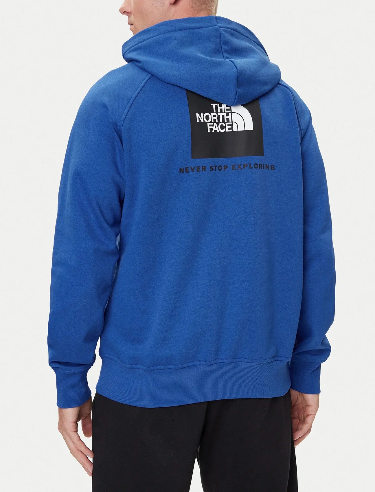 Felpa con cappuccio THE NORTH FACE RAGLAN BOX NSE REGULAR NF0A89F9EF11 Uomo